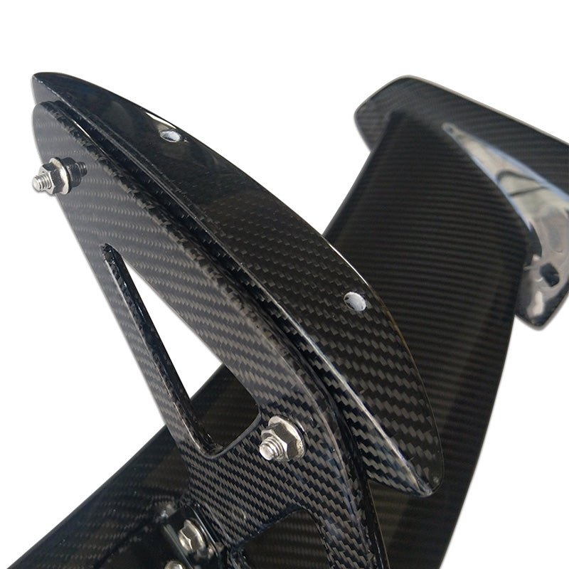 Lotus S2 S3 Elise CUP 220 250 Style Rear Wing/ Spoiler, DRY Carbon